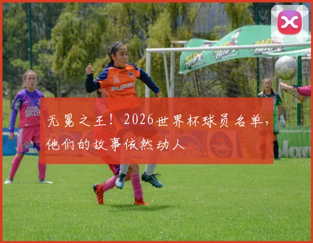 无冕之王！2026世界杯球员名单，他们的故事依然动人